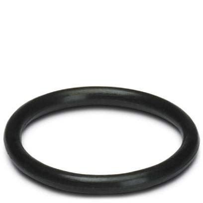 Dichtring WP-OR M10