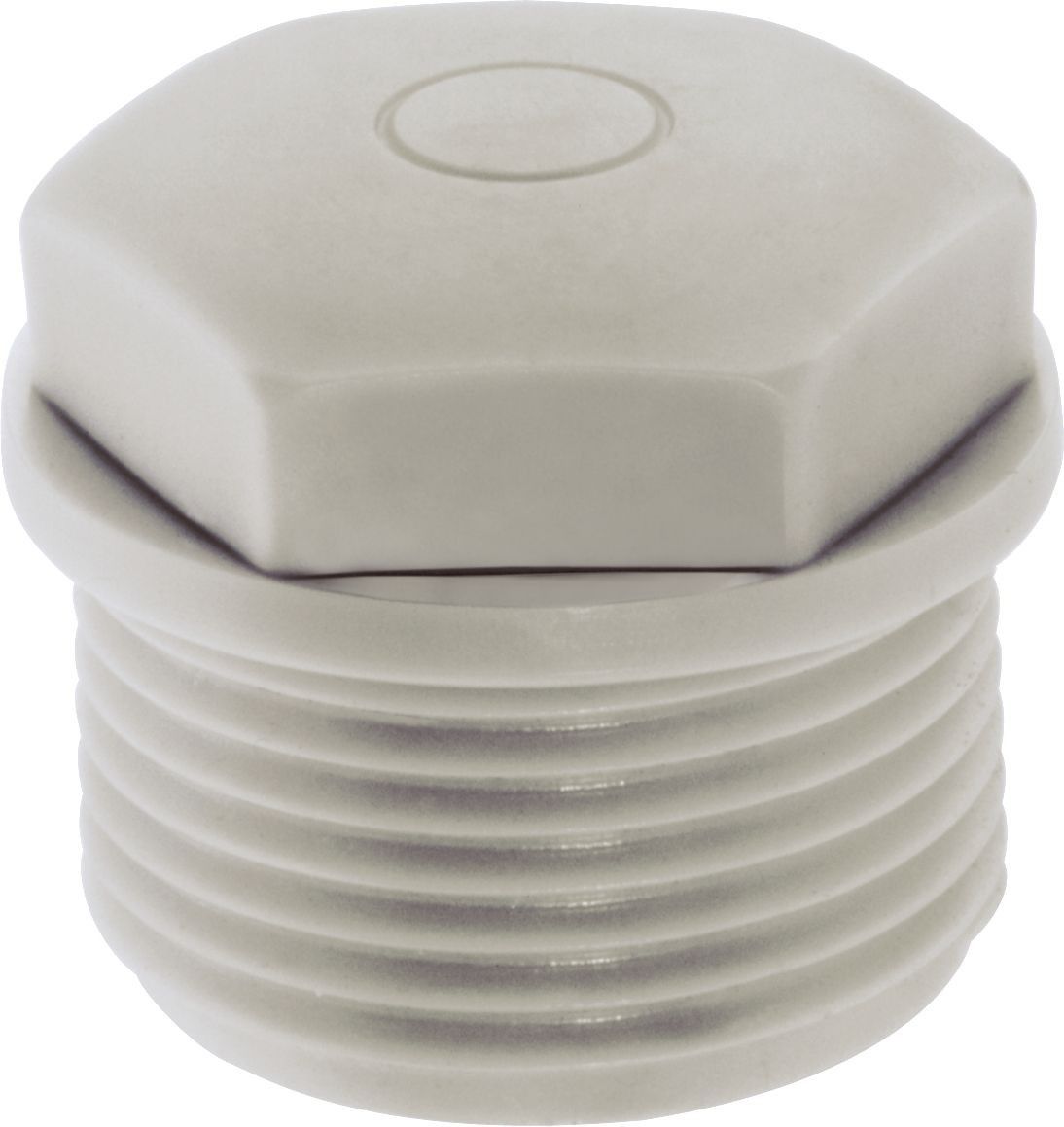 SKINDICHT WN-M 50x1,5 52020563