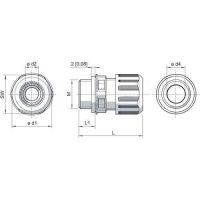 Kabelverschraubung 8161/8-M25999#265086