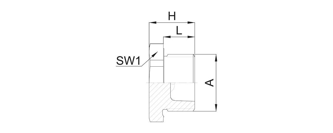 PA-Verschlusssschraube V301-1012-11