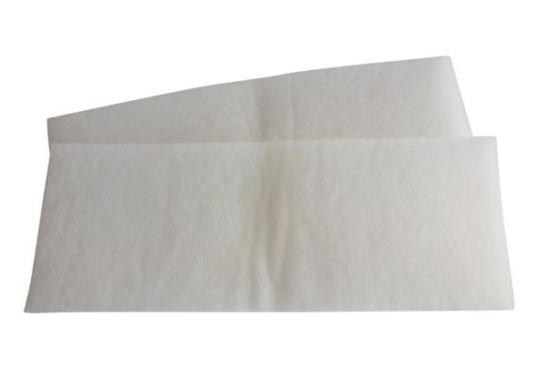 Ersatzluftfilter WSG 250