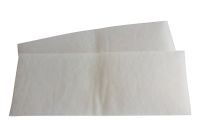 Ersatzluftfilter WSG 250