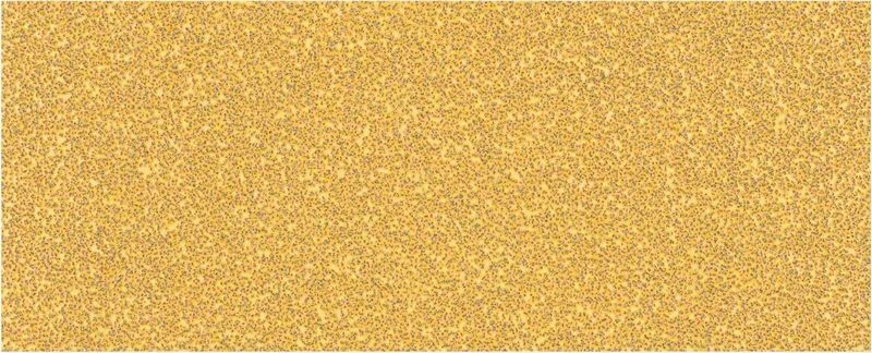 C470 Schleifpapier 2608900840