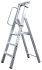 Stufenstehleiter 46171