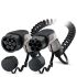 AC-Ladekabel EV-T2G3PC- #1627136