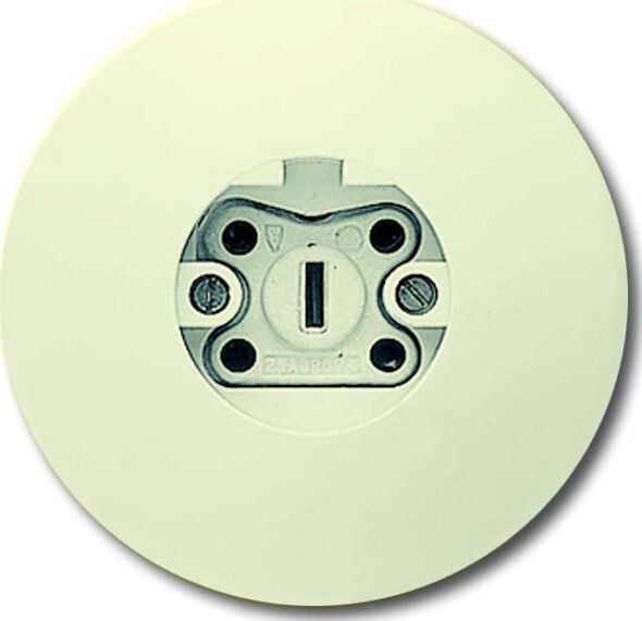 Perilex-Steckdose 2365 SRW