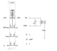 2-Kanal-Digitalausgang 753-509