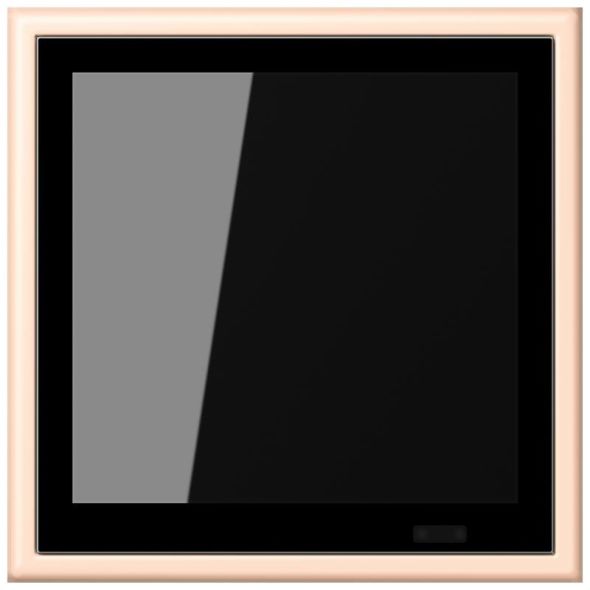 KNX Raumcontroller LC 459 D1 S 228