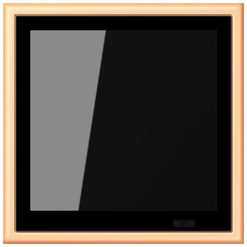 KNX Raumcontroller LC 459 D1 S 258