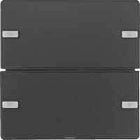 Tastsensor 2f. anth/sam 80142326