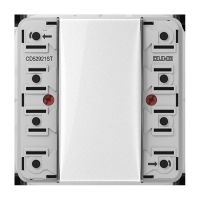 KNX Tastsensor-Modul 2f CD 52921 ST