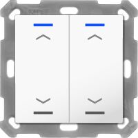 KNX RF+ Taster Light 55 RF-TAL55T202.A1S