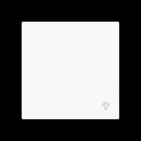 Wippe 1-fach mit Symbol 6231-10-44M