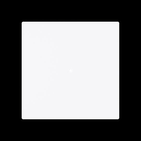 Wippe, 1-fach neutral ohne 6230-10-44G