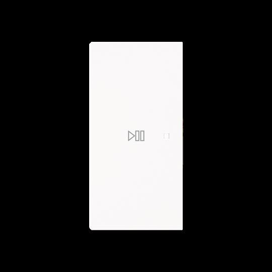 Wippe 2-fach links Symbol 6237-21-44G