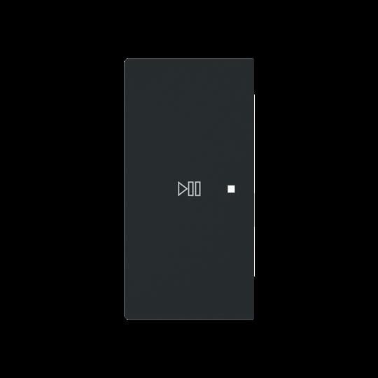 Wippe 2-fach links Symbol 6237-21-45M