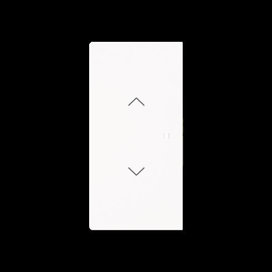 Wippe 2-fach mit Symbol 6232-20-44G