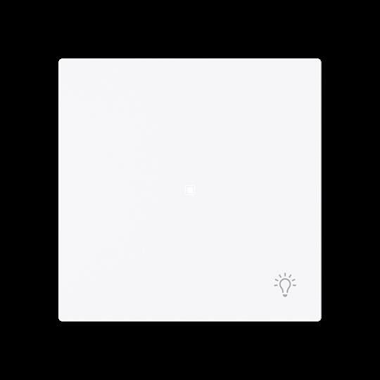 Wippe 1-fach mit Symbol 6231-10-44G