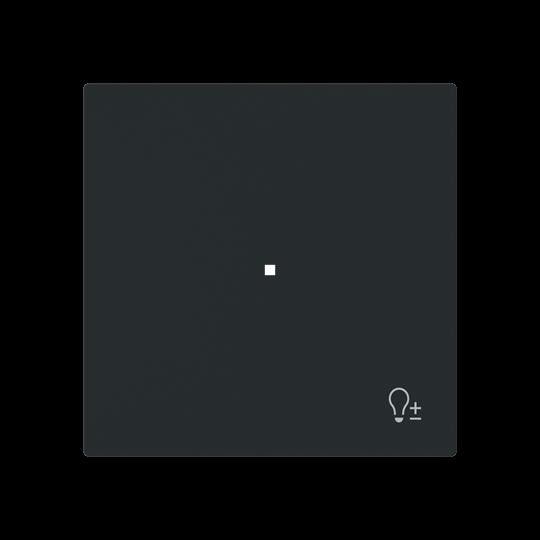 Wippe 1-fach mit Symbol 6234-10-45M