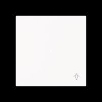 Wippe 1-fach mit Symbol 6231-10-44M