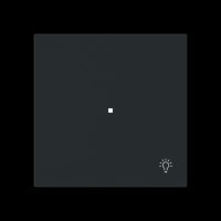 Wippe 1-fach mit Symbol 6231-10-45M