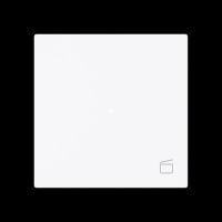 Wippe 1-fach mit Symbol 6233-10-44G
