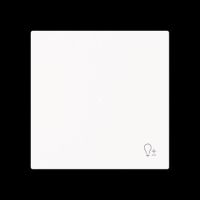 Wippe 1-fach mit Symbol 6234-10-44M