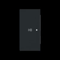 Wippe 2-fach links Symbol 6237-21-45M