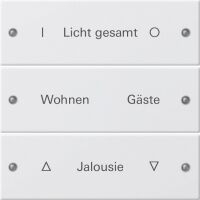 Wippenset 220303 3-fach reinweiß glänzend - alte Generation