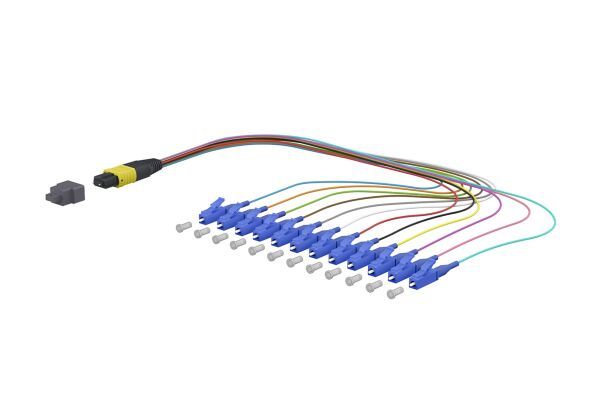 OpDAT Ader-Fanout MTP 151P5TMJO003A