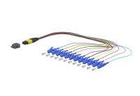 OpDAT Ader-Fanout MTP 151P5TMJO003A