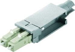 STX LC-D Steckereinsatz 100021187