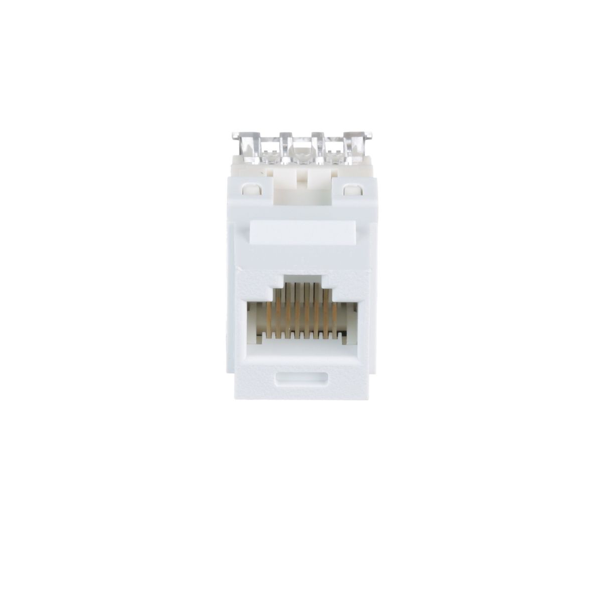Buchsenmodul NK688MWH