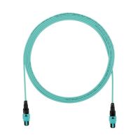 Trunk OM4 12F PanMPO F FZTRL7N7NBNM007