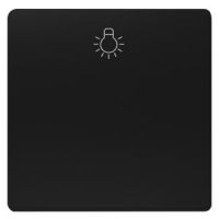 Wippe mit Symbol Licht 5TG6201-0SB20