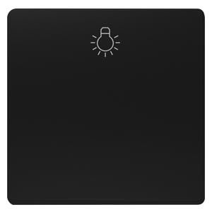 Wippe mit Symbol Licht 5TG6201-0SB20