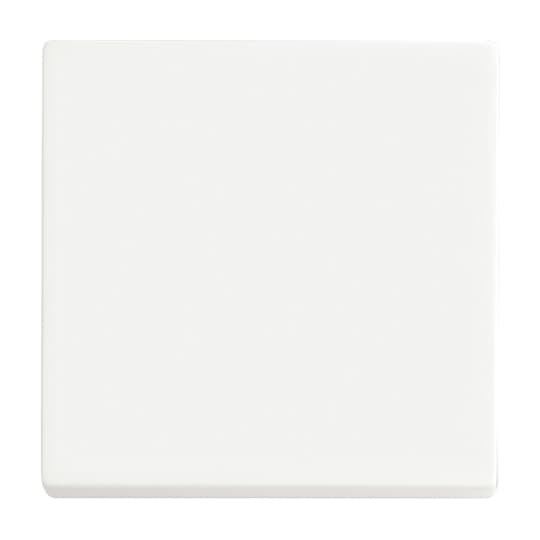 Wippe 1-fach 6735 BT-884