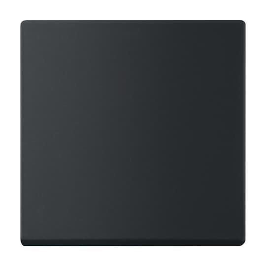 Wippe 1-fach 6735 BT-885