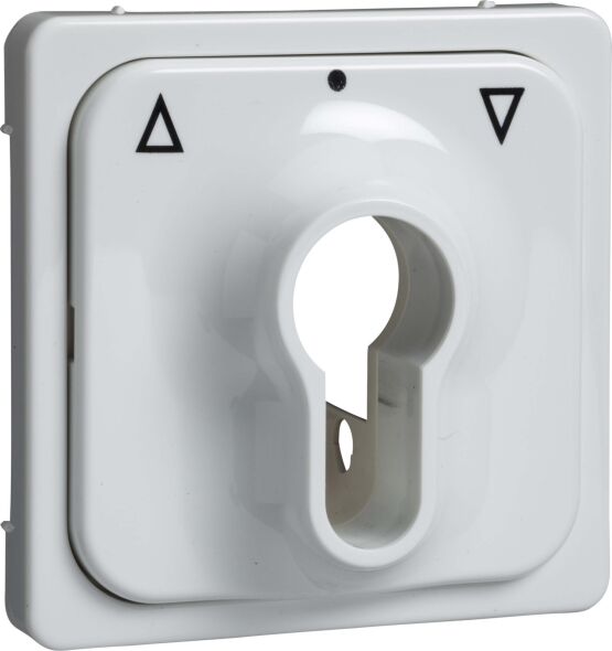 Zentralplatte rw 203034