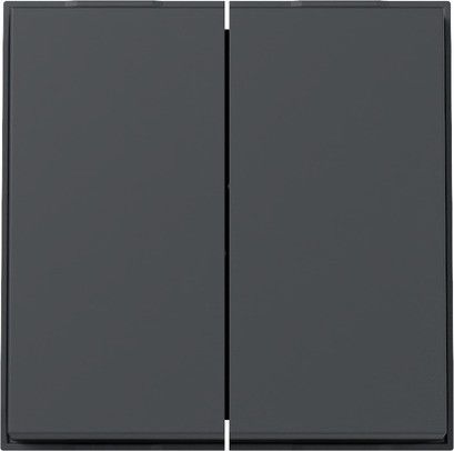 Wippe 2-fach 329567 anthrazit - neue Generation