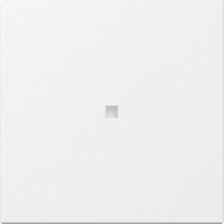 Wippe 349003 gerade Kontrollf. reinweiß glänzend - neue Generation