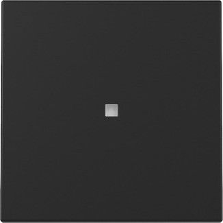 Wippe 3290005 Kontrollf. schwarz matt - neue Generation