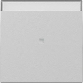 Wippe 3670015 Kontrollf. grau matt - neue Generation