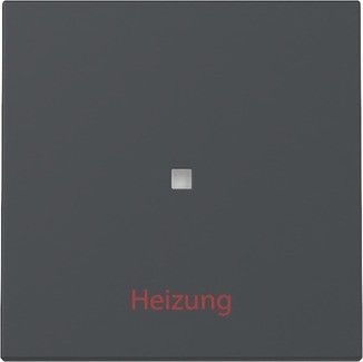 Wippe 367828 Kontrollf. + Heizung anthrazit - neue Generation