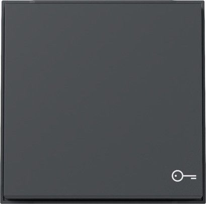 Wippe Symbol Tür 328767 anthrazit - neue Generation