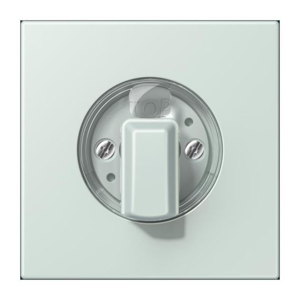 Abdeckung für Drehschalter LC 1941 215