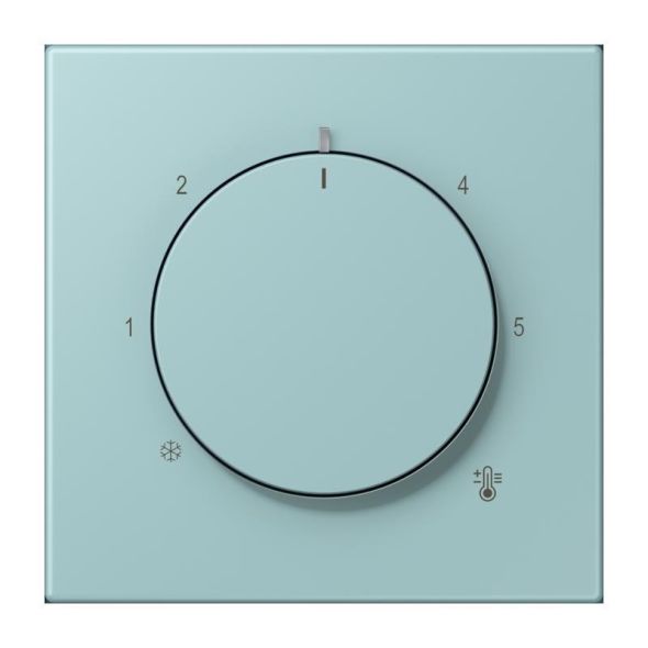 Abdeckung für Thermostat LC 1749 BF 214