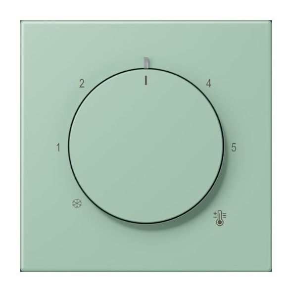 Abdeckung für Thermostat LC 1749 BF 217