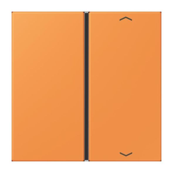 Taste 1fach m. Pfeilsymb. LC 401 TSAP 225