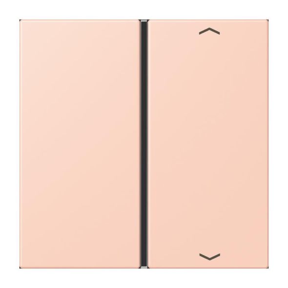 Taste 1fach m. Pfeilsymb. LC 401 TSAP 234